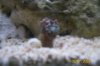 100_1318.jpg