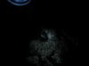 DSCN4388.jpg