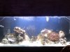 downsized_0910092036.jpg