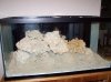 100_2046.jpg