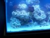 100_2055.jpg