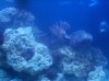 100_2056.jpg