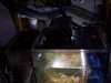 100_2066.jpg
