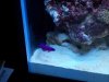 100_2069.jpg