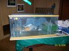 100_1494.JPG