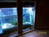 100_1499.JPG