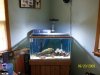 Austins Aquarium 029.jpg