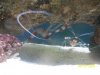 Austins Aquarium 026.jpg