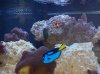 100_2075.jpg