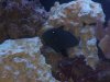 100_2076.jpg