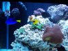 100_2079.jpg