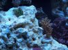 100_2080.jpg