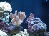100_2081.jpg