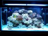 100_2082.jpg