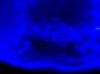 100_1460.jpg