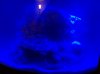 100_1464.jpg