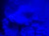 100_1465.JPG