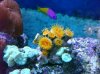 DSC00784.jpg
