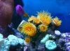 DSC00780.jpg