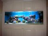 DSC00787.jpg