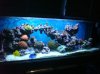 DSC00785.jpg