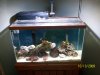 Austins Aquarium 033.jpg