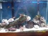 Austins Aquarium 040.jpg