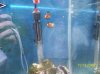 Austins Aquarium 047.jpg