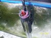 Austins Aquarium 051.jpg
