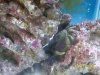 Austins Aquarium 022.jpg