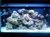 100_2096.jpg