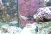 New stuff 108.jpg