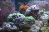 New stuff 110.jpg