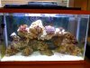 20g.jpg