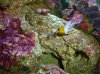 DSC00057.jpg