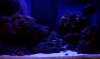 10-23-09 deep reef.jpg