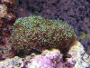 tank photos 028b.JPG