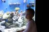 img_0355mod1.jpg
