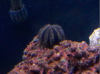 Picture 12.png
