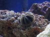 100_0700.jpg