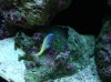 DSC00108.jpg