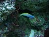 DSC00109.jpg
