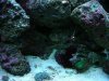 DSC00110.jpg
