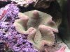 IMG_0138.JPG