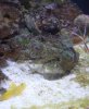 DSC00647.jpg