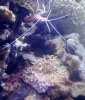 DSC00660.jpg
