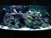 DSC00113.jpg