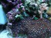 DSC00122.jpg