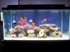 100_0679.jpg
