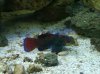 IMG00010-20091112-1106.jpg